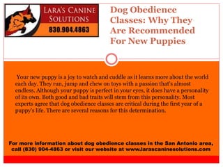 Dog Obedience
Classes: Why They
Are Recommended
For New Puppies
For more information about dog obedience classes in the San Antonio area,
call (830) 904-4863 or visit our website at www.larascaninesolutions.com
Your new puppy is a joy to watch and cuddle as it learns more about the world
each day. They run, jump and chew on toys with a passion that's almost
endless. Although your puppy is perfect in your eyes, it does have a personality
of its own. Both good and bad traits will stem from this personality. Most
experts agree that dog obedience classes are critical during the first year of a
puppy's life. There are several reasons for this determination.
 