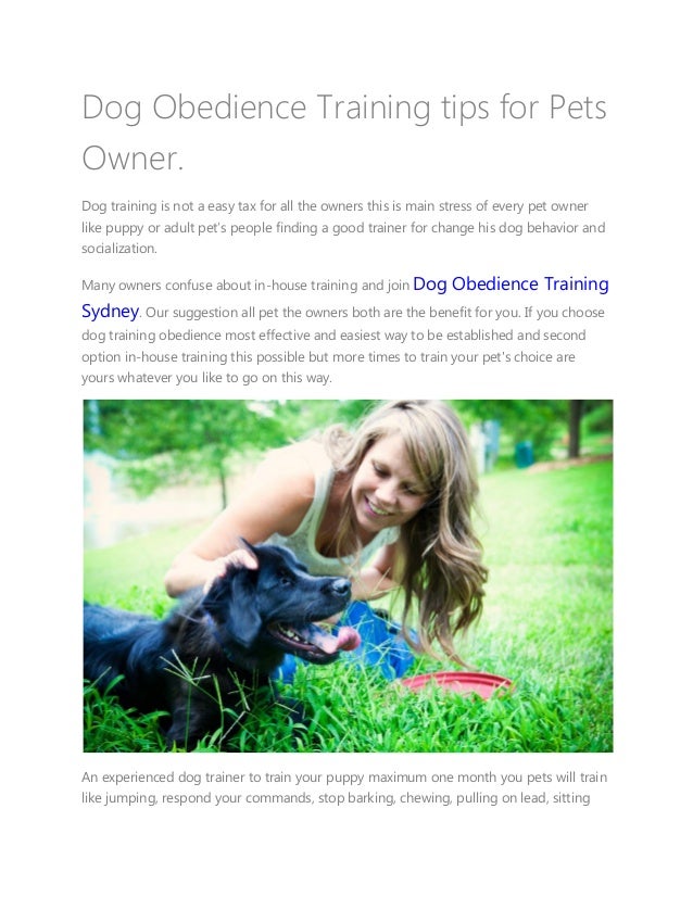 Dog obedience training tips for pets owner