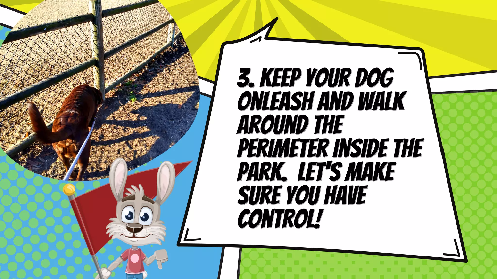 Dog Park Coaching Pdf