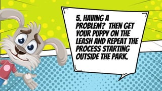 Dog Park Coaching Pdf