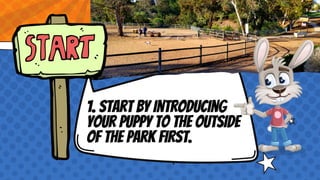 Dog Park Coaching Pdf