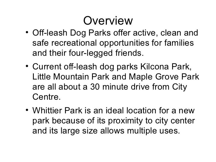 argumentative essay on dog parks