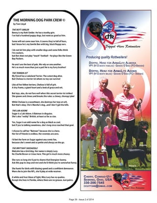 Page 39 - Issue 2 of 2014
 