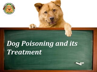 Potato (Green) Poisoning in Dogs - Symptoms, Causes, Diagnosis, Treatment,  Recovery, Management, Cost