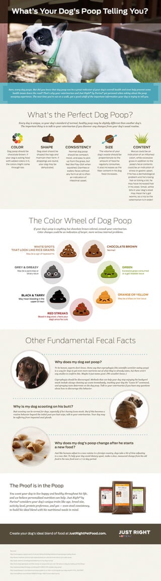 Decode Your Dog Poop