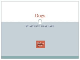 Dogs

BY AIYANNA KLAPHAKE




       Click to
        Start
 