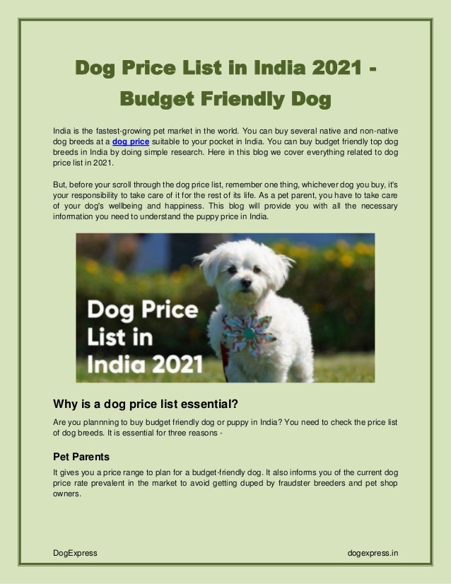 Dog Price List in India 2021 Budget Friendly Dog