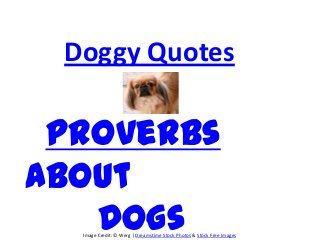 Doggy Quotes

 Proverbs
About
   Dogs
  Image Credit: © Werg | Dreamstime Stock Photos & Stock Free Images
 