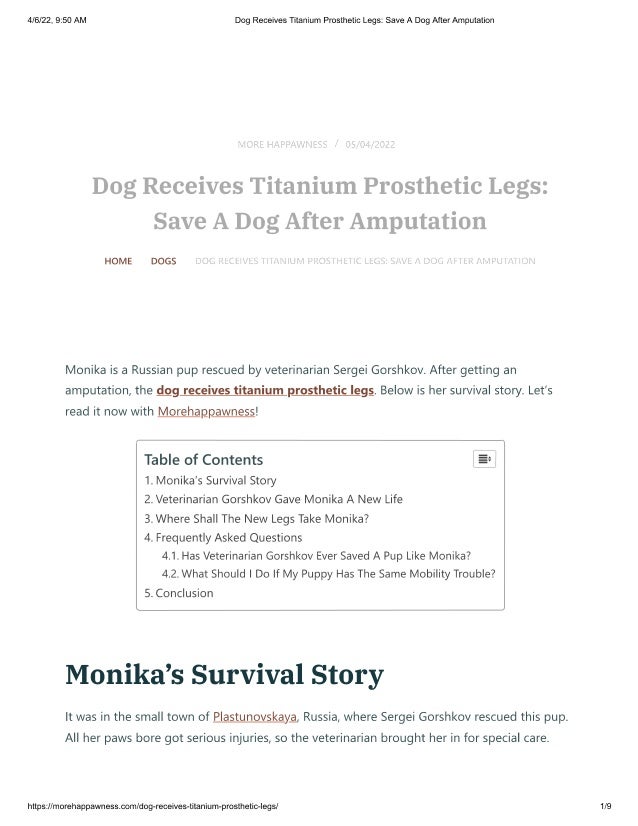 Dog Receives Titanium Prosthetic Legs_ Save A Dog After Amputation.pdf