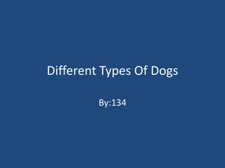 Different Types Of Dogs By:134 