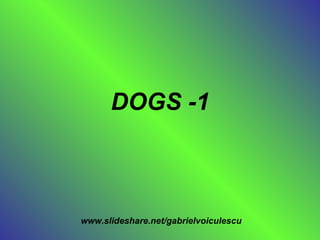 DOGS -1 www.slideshare.net/gabrielvoiculescu 