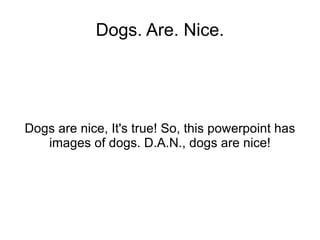 Dogs are nice, It's true! So, this powerpoint has images of dogs. D.A.N., dogs are nice! Dogs. Are. Nice. 