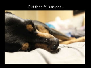 But then falls asleep.
 