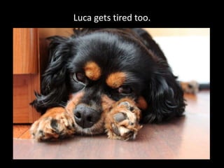 Luca gets tired too.
 