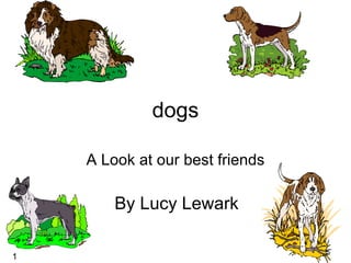 dogs A Look at our best friends By Lucy Lewark  1 