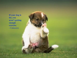 If your dog is fat, you aren’t getting enough exercise. -  Unknown 