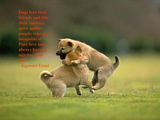 Dogs love their friends and bite their enemies, quite unlike people, who are incapable of Pure love and always have to mix love and hate. - Sigmund Freud 