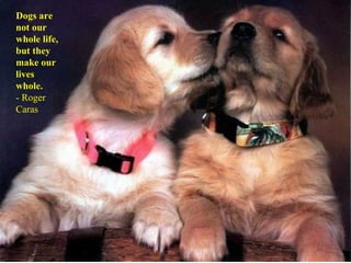 Dogs are not our whole life, but they make our lives whole. - Roger Caras 