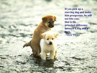If you pick up a starving dog and make him prosperous, he will not bite you;  that is the principal difference between a dog and a man. - Mark Twain 