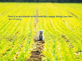 There is no psychiatrist in the world like a puppy licking your face. - Ben Williams 