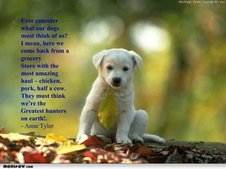 Ever consider what our dogs must think of us? I mean, here we come back from a grocery Store with the most amazing haul – chicken, pork, half a cow. They must think we’re the Greatest hunters on earth!. - Anne Tyler 