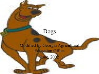 Dogs
Modified by Georgia Agricultural
Education Office
June, 2002

 