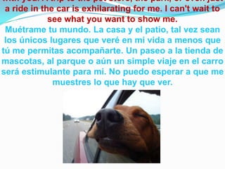 with you. A trip to the pet store, the park, or even just
a ride in the car is exhilarating for me. I can't wait to
see what you want to show me.
Muétrame tu mundo. La casa y el patio, tal vez sean
los únicos lugares que veré en mi vida a menos que
tú me permitas acompañarte. Un paseo a la tienda de
mascotas, al parque o aún un simple viaje en el carro
será estimulante para mi. No puedo esperar a que me
muestres lo que hay que ver.
 