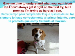 Give me time to understand what you want from
me.I don't always get it right on the first try, but I
promise I'm trying as hard as I can.
Dame tiempo para comprender lo que quieres de mi. No
siempre lo hago correctamente al primer intento, pero
te prometo que estoy tratando al máximo.
 