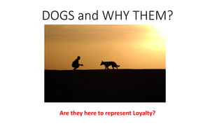 DOGS and WHY THEM?
Are they here to represent Loyalty?
 