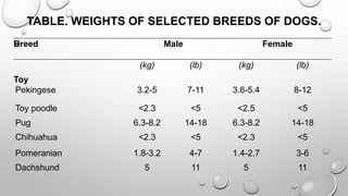 TABLE. WEIGHTS OF SELECTED BREEDS OF DOGS.
Breed Male Female
(kg) (lb) (kg) (lb)
Toy
Pekingese 3.2-5 7-11 3.6-5.4 8-12
Toy poodle <2.3 <5 <2.5 <5
Pug 6.3-8.2 14-18 6.3-8.2 14-18
Chihuahua <2.3 <5 <2.3 <5
Pomeranian 1.8-3.2 4-7 1.4-2.7 3-6
Dachshund 5 11 5 11
 