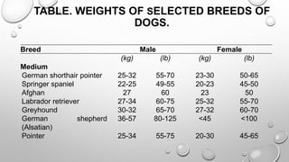 TABLE. WEIGHTS OF SELECTED BREEDS OF
DOGS.
Breed Male Female
(kg) (lb) (kg) (lb)
Medium
German shorthair pointer 25-32 55-70 23-30 50-65
Springer spaniel 22-25 49-55 20-23 45-50
Afghan 27 60 23 50
Labrador retriever 27-34 60-75 25-32 55-70
Greyhound 30-32 65-70 27-32 60-70
German shepherd
(Alsatian)
36-57 80-125 <45 <100
Pointer 25-34 55-75 20-30 45-65
 