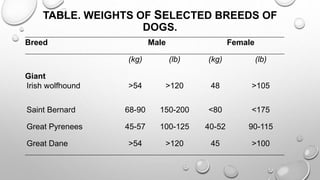 TABLE. WEIGHTS OF SELECTED BREEDS OF
DOGS.
Breed Male Female
(kg) (lb) (kg) (lb)
Giant
Irish wolfhound >54 >120 48 >105
Saint Bernard 68-90 150-200 <80 <175
Great Pyrenees 45-57 100-125 40-52 90-115
Great Dane >54 >120 45 >100
 
