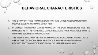 BEHAVIORAL CHARACTERISTICS
1. THE STRAY OR FREE-ROAMING DOG THAT HAS LITTLE ASSOCIATION WITH
PEOPLE EXCEPT, PERHAPS, WHEN FED.
2. IF OWNED, THE OWNER MAY BE AFRAID OF THE DOG. THESE DOGS MUST BE
HANDLED AS IF THEY ARE WILD CANIDS BECAUSE THEY ARE LIABLE TO BITE
WITH THE SLIGHTEST PROVOCATION.
3. THE WELL-CARED-FOR PET OR WORKING DOG. FORTUNATELY MOST DOGS
ARE IN THIS CATEGORY. THEY ARE DOCILE AND RESPOND TO A LOW-
PITCHED SOOTHING VOICE AND SLOW, DELIBERATE HANDLING
 
