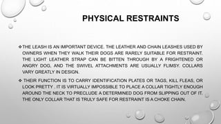 PHYSICAL RESTRAINTS
THE LEASH IS AN IMPORTANT DEVICE. THE LEATHER AND CHAIN LEASHES USED BY
OWNERS WHEN THEY WALK THEIR DOGS ARE RARELY SUITABLE FOR RESTRAINT.
THE LIGHT LEATHER STRAP CAN BE BITTEN THROUGH BY A FRIGHTENED OR
ANGRY DOG, AND THE SWIVEL ATTACHMENTS ARE USUALLY FLIMSY. COLLARS
VARY GREATLY IN DESIGN.
 THEIR FUNCTION IS TO CARRY IDENTIFICATION PLATES OR TAGS, KILL FLEAS, OR
LOOK PRETTY . IT IS VIRTUALLY IMPOSSIBLE TO PLACE A COLLAR TIGHTLY ENOUGH
AROUND THE NECK TO PRECLUDE A DETERMINED DOG FROM SLIPPING OUT OF IT.
THE ONLY COLLAR THAT IS TRULY SAFE FOR RESTRAINT IS A CHOKE CHAIN.
 