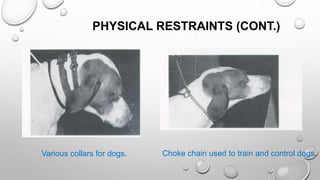 PHYSICAL RESTRAINTS (CONT.)
Various collars for dogs. Choke chain used to train and control dogs.
 