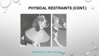 PHYSICAL RESTRAINTS (CONT.)
Elizabethan collars for dogs.
 