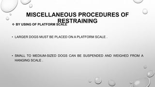 MISCELLANEOUS PROCEDURES OF
RESTRAINING BY USING OF PLATFORM SCALE
• LARGER DOGS MUST BE PLACED ON A PLATFORM SCALE .
• SMALL TO MEDIUM-SIZED DOGS CAN BE SUSPENDED AND WEIGHED FROM A
HANGING SCALE .
 