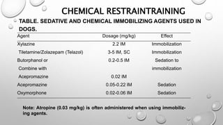 CHEMICAL RESTRAINTRAINING
TABLE. SEDATIVE AND CHEMICAL IMMOBILIZING AGENTS USED IN
DOGS.
Agent Dosage (mg/kg) Effect
Xylazine 2.2 IM Immobilization
Tiletamine/Zolazepam (Telazol) 3-5 IM, SC Immobilization
Butorphanol or 0.2-0.5 IM Sedation to
Combine with immobilization
Acepromazine 0.02 IM
Acepromazine 0.05-0.22 IM Sedation
Oxymorphone 0.02-0.06 IM Sedation
Note: Atropine (0.03 mg/kg) is often administered when using immobiliz-
ing agents.
 