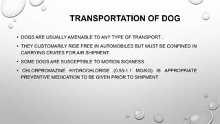 TRANSPORTATION OF DOG
• DOGS ARE USUALLY AMENABLE TO ANY TYPE OF TRANSPORT .
• THEY CUSTOMARILY RIDE FREE IN AUTOMOBILES BUT MUST BE CONFINED IN
CARRYING CRATES FOR AIR SHIPMENT.
• SOME DOGS ARE SUSCEPTIBLE TO MOTION SICKNESS .
• CHLORPROMAZINE HYDROCHLORIDE (0.55-1.1 MG/KG) IS APPROPRIATE
PREVENTIVE MEDICATION TO BE GIVEN PRIOR TO SHIPMENT
 