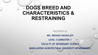 DOGS BREED AND
CHARACTERISTICS &
RESTRAINING
PREPARED BY
MD. MEHADI HASAN JOY
LEVEL-5;SEMESTER-1
FACULTY OF VETERINARY SCIENCE
BANGLADESH AGRICULTURAL UNIVERSITY,MYMENSINGH.
 