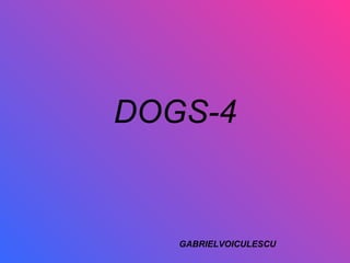 DOGS-4 GABRIELVOICULESCU 
