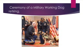 Ceremony of a Military Working Dog 
retiring. 
 