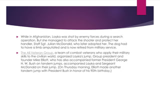  While in Afghanistan, Layka was shot by enemy forces during a search 
operation. But she managed to attack the shooter and protect her 
handler, Staff Sgt. Julian McDonald, who later adopted her. The dog had 
to have a limb amputated and is now retired from military service. 
 The All Veteran Group, a team of combat veterans who apply their military 
skills to the civilian world, organized Layka's jump. Group president and 
founder Mike Elliott, who has also accompanied former President George 
H. W. Bush on tandem jumps, accompanied Layka and Sergeant 
McDonald on their jump. (On Thursday morning, Elliott made another 
tandem jump with President Bush in honor of his 90th birthday.) 
 
