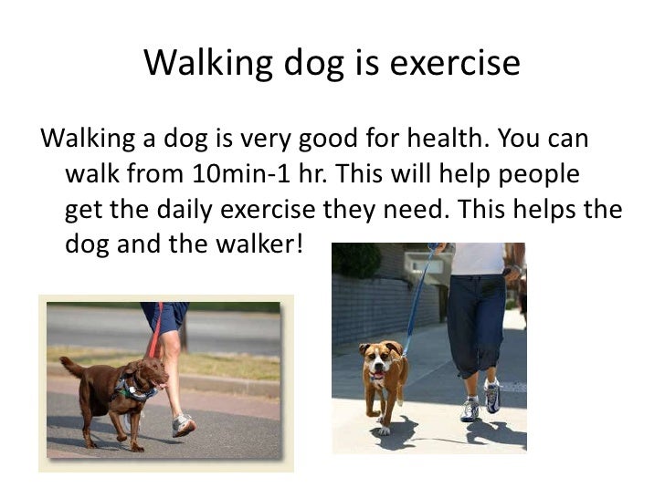 Dogs Why You Should Get A Dog