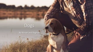Dogs
By Nirvan and Raghav
 