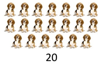 20
 