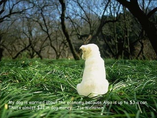 My dog is worried about the economy because Alpo is up to $3 a can. That’s almost $21 in dog money.  Joe Weinstein 