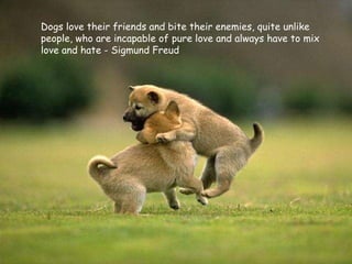 Dogs love their friends and bite their enemies, quite unlike people, who are incapable of pure love and always have to mix love and hate - Sigmund Freud 