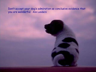 Don’t accept your dog’s admiration as conclusive evidence that you are wonderful.  Ann Landers 