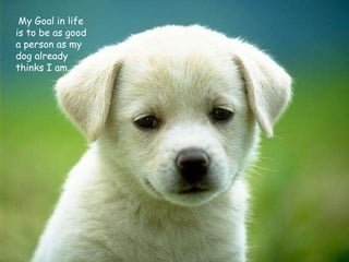 My Goal in life is to be as good  a person as my dog already thinks I am. 